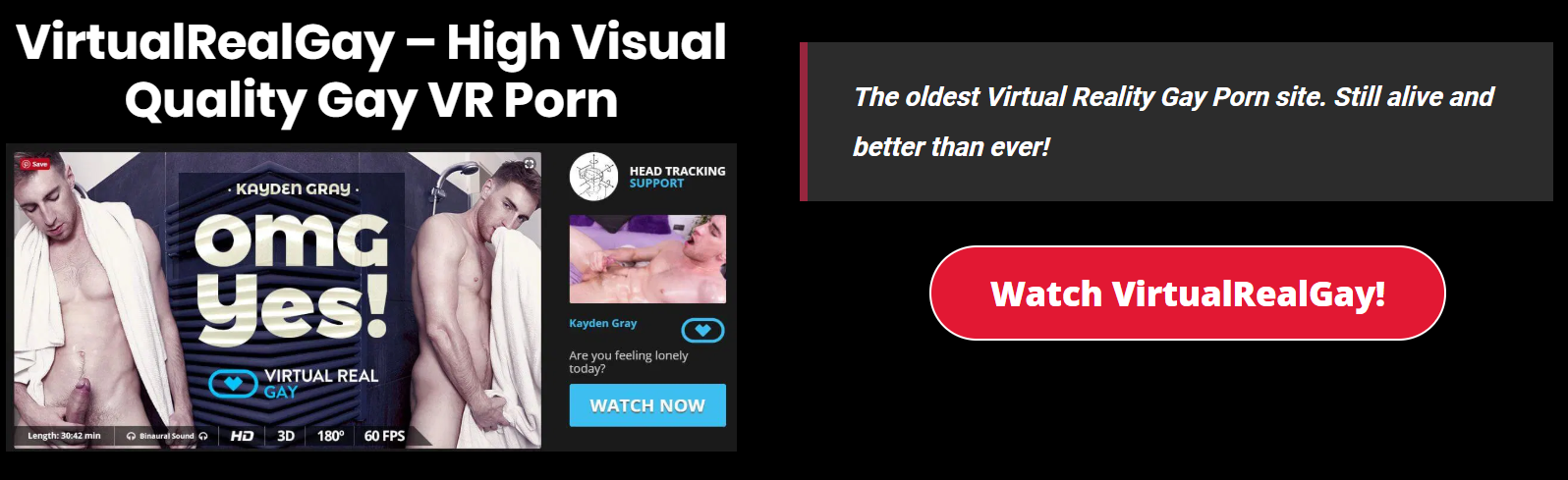 VirtualRealGay