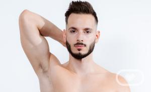 Stallion Fabio VR