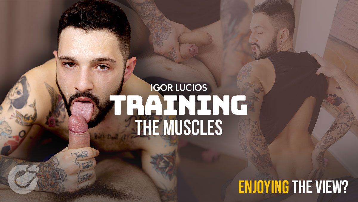 Training The Muscles