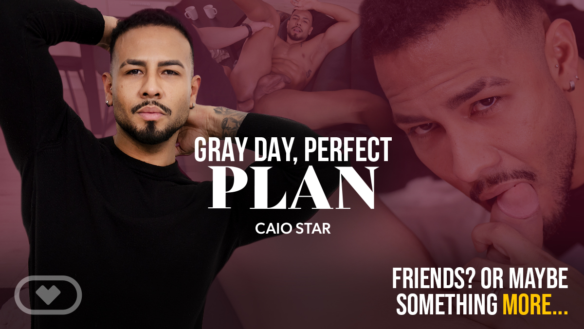 Gray Day, Perfect Plan