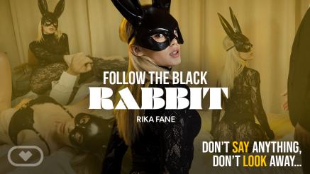 Follow the Black Rabbit