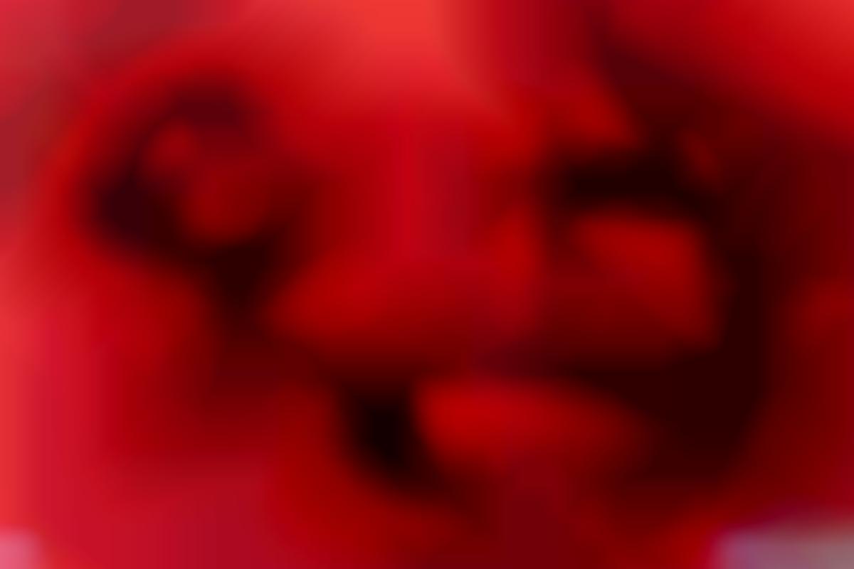 The Devil’s Advocate